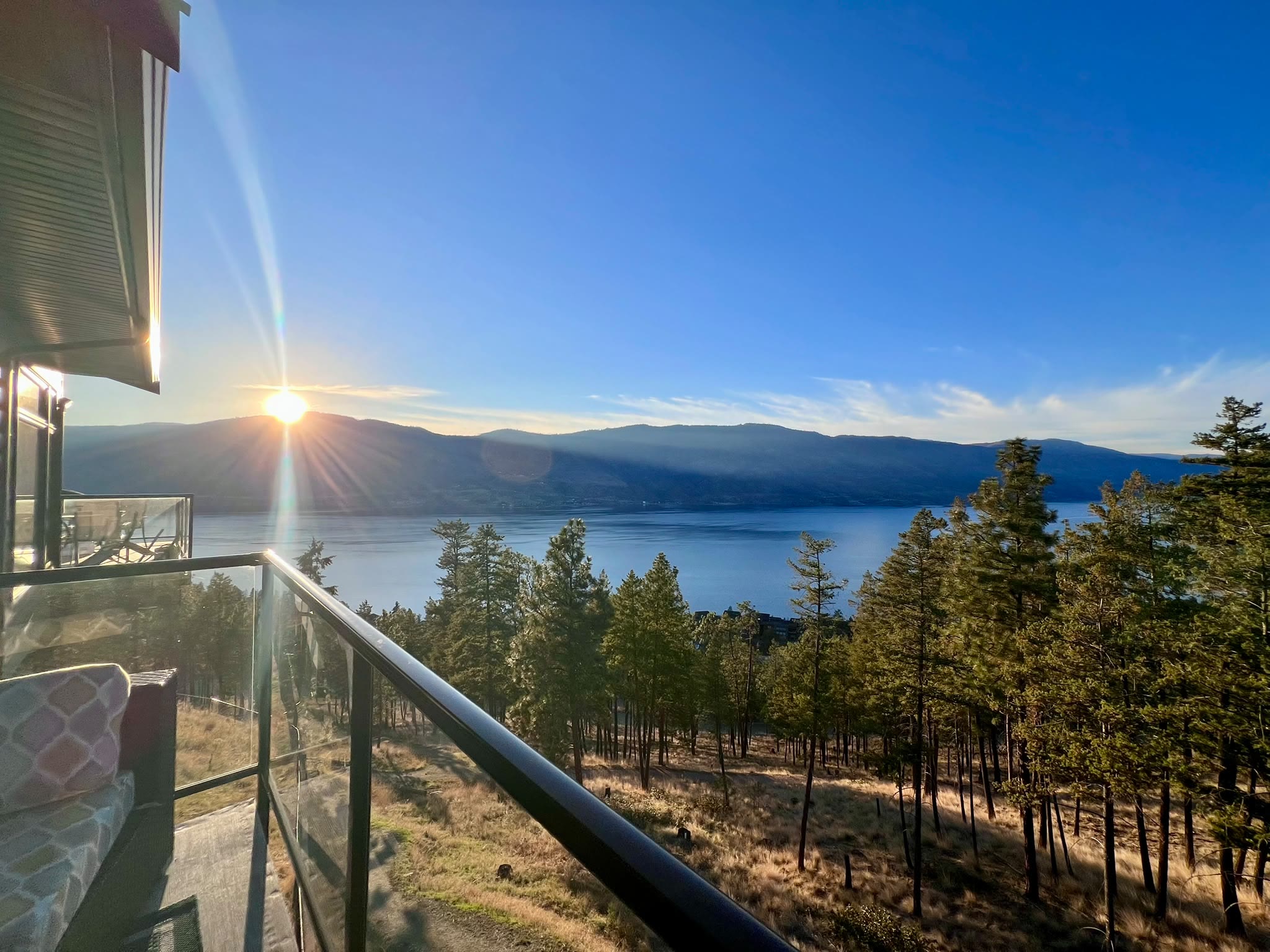 Sunrise over Okanagan Lake from the balcony, with pines on the slope below